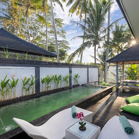 Capung Asri Eco Luxury Resort With Private Pool Villas Bedulu Exteriér fotografie