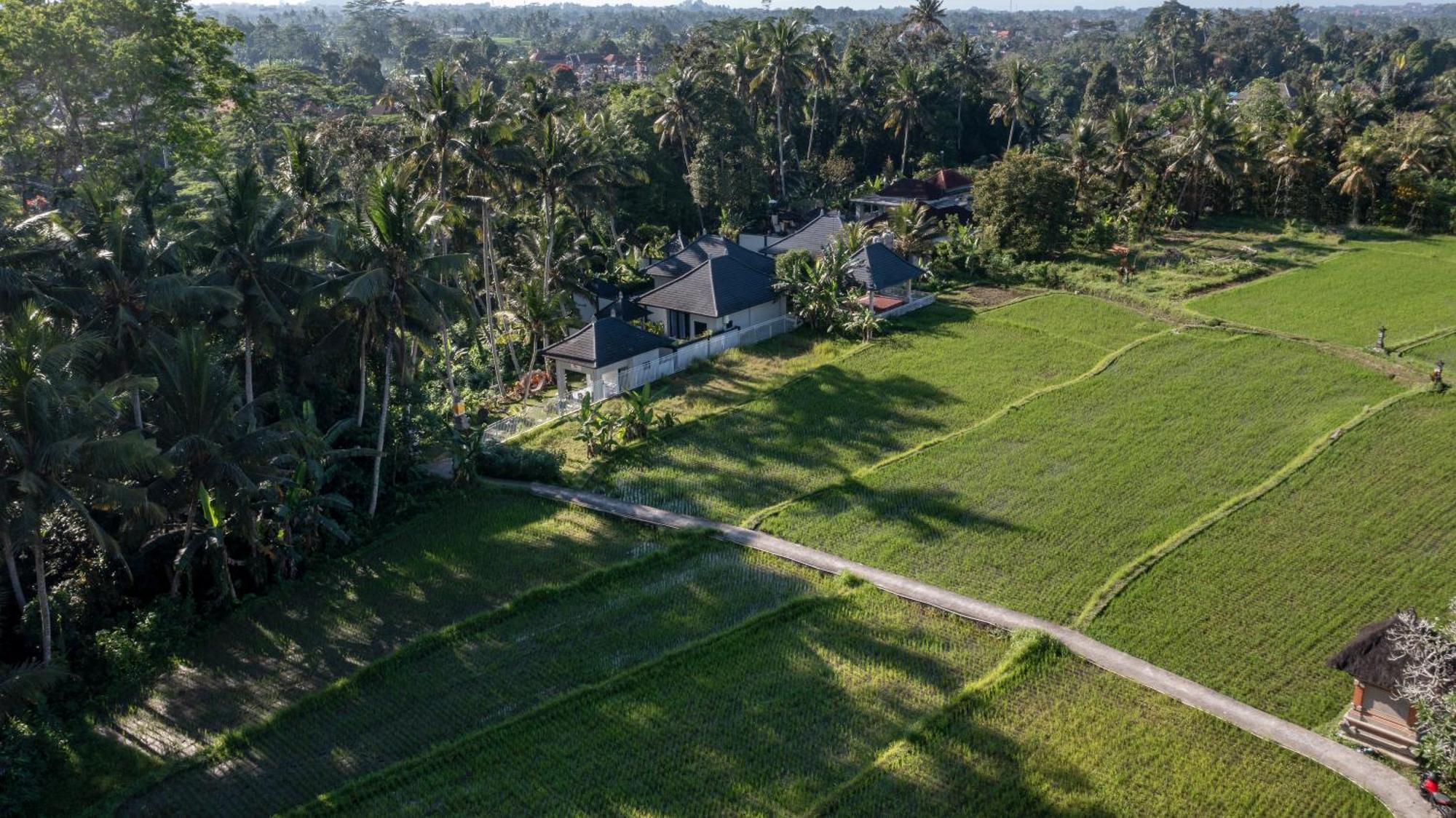 Capung Asri Eco Luxury Resort With Private Pool Villas Bedulu Exteriér fotografie