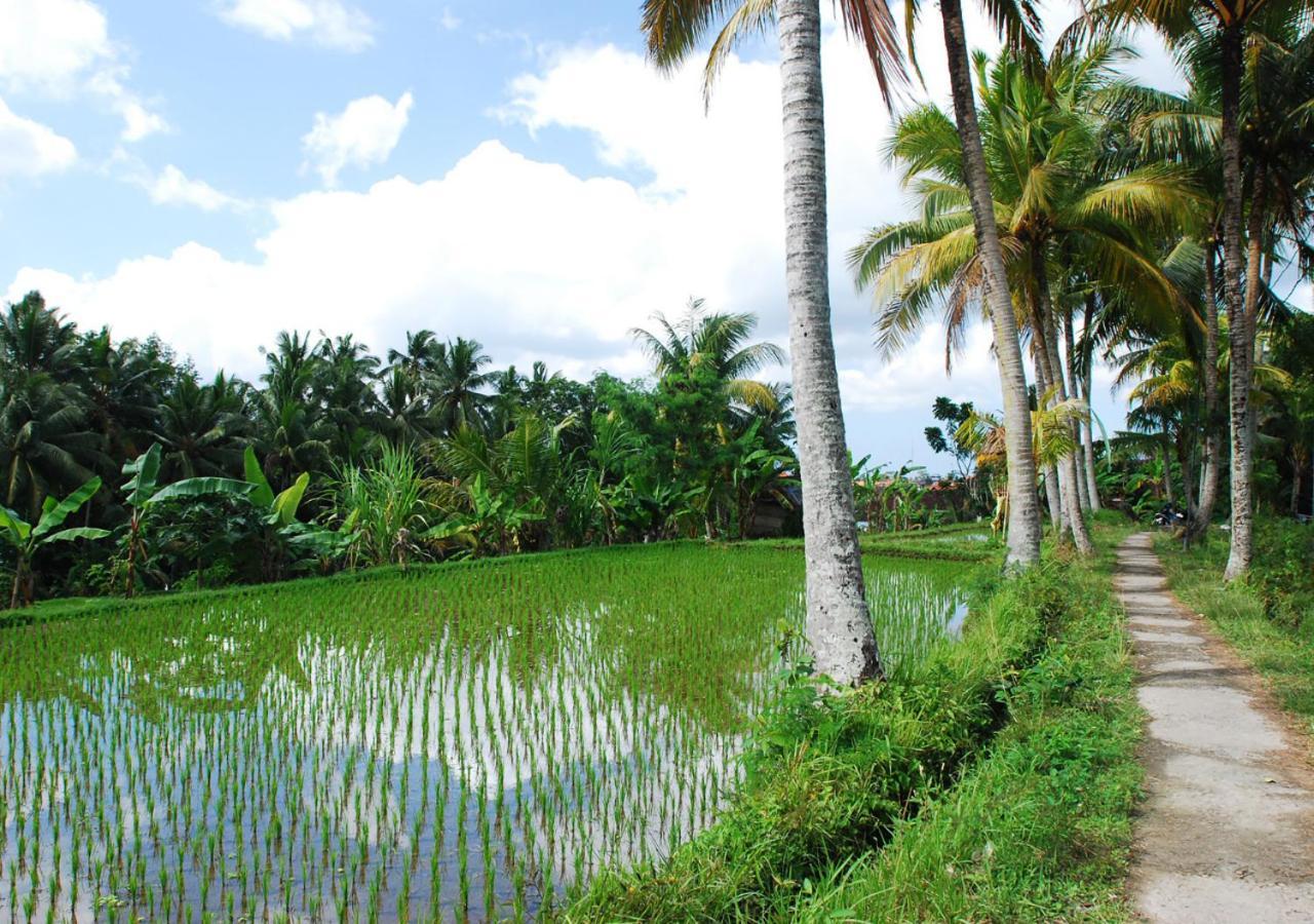 Capung Asri Eco Luxury Resort With Private Pool Villas Bedulu Exteriér fotografie