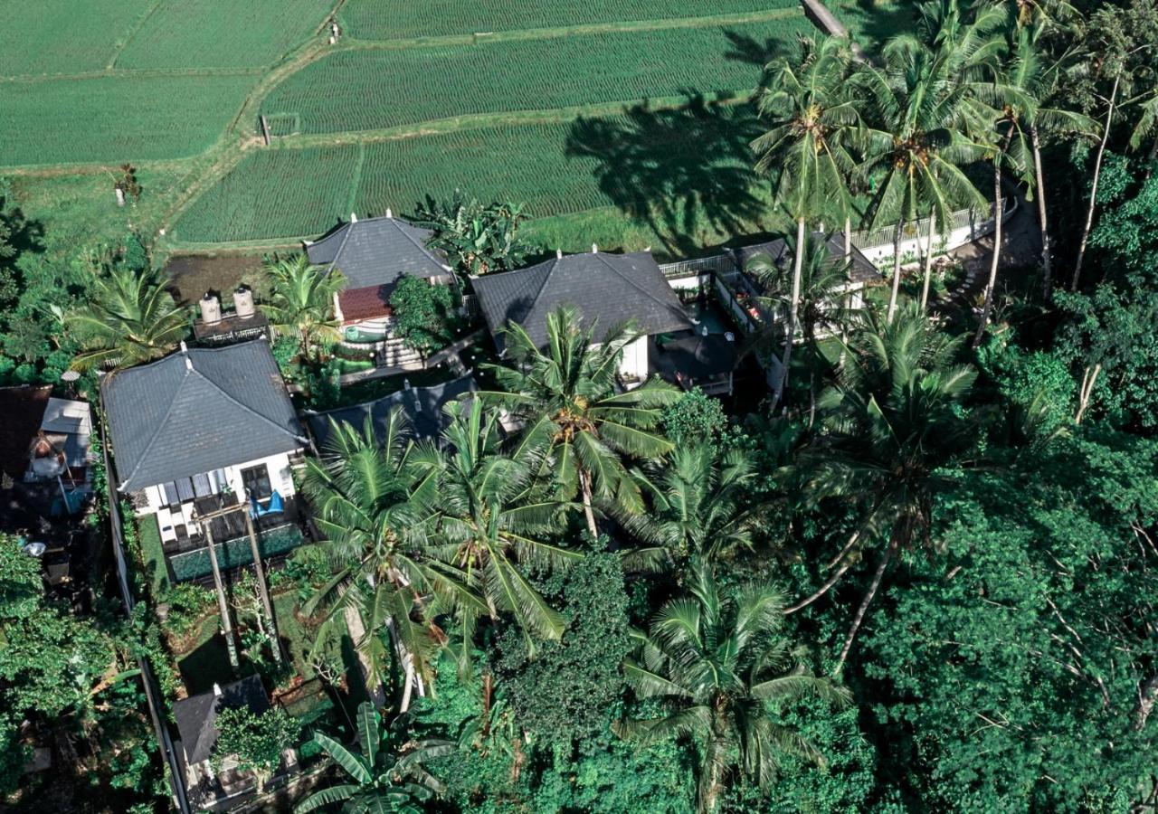 Capung Asri Eco Luxury Resort With Private Pool Villas Bedulu Exteriér fotografie
