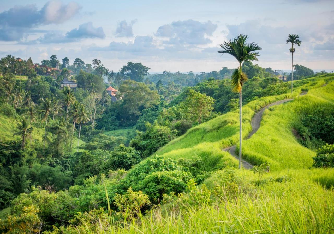 Capung Asri Eco Luxury Resort With Private Pool Villas Bedulu Exteriér fotografie